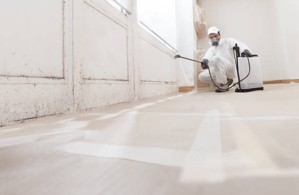 24/7 Emergency Mold Remediation experts in Williamsport, PA
