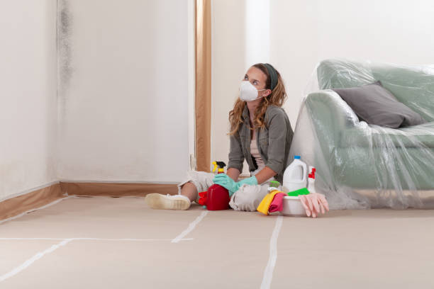 Reliable Mold Remediation contractor in Williamsport, PA by WQB Mold Removal